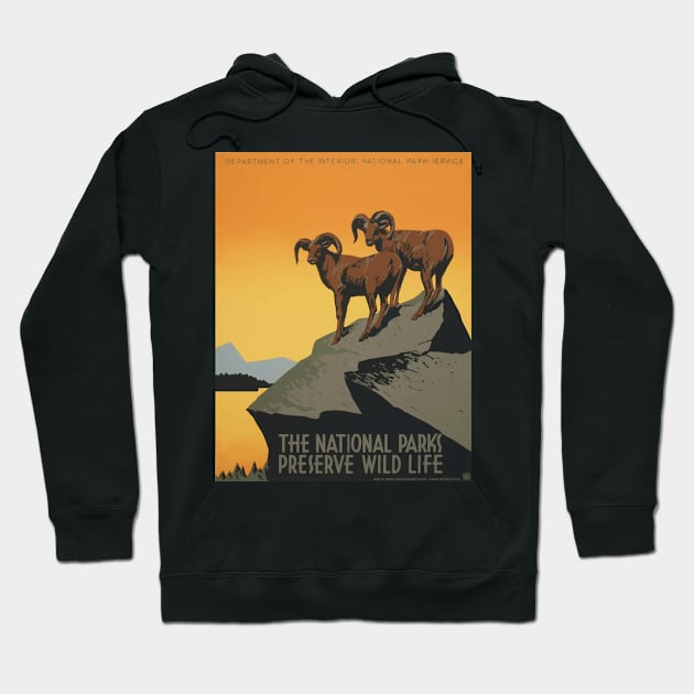 National Park Hoodie by Yaelledark